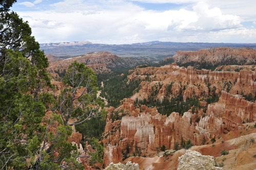 Silent City from Inspiration Point